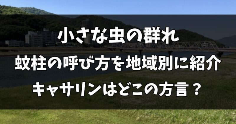 蚊柱の呼び方を地域別に紹介！キャサリンや脳食い虫はどこの方言？